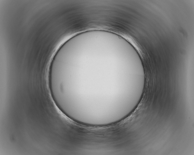 X0000111911143200908101155