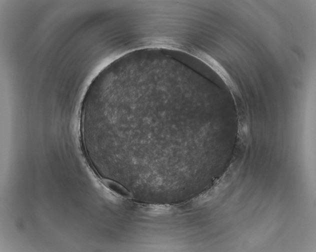 X0000111911144200908101155