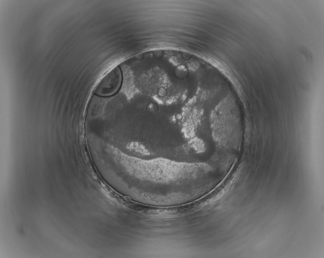 X0000111911145200908101155