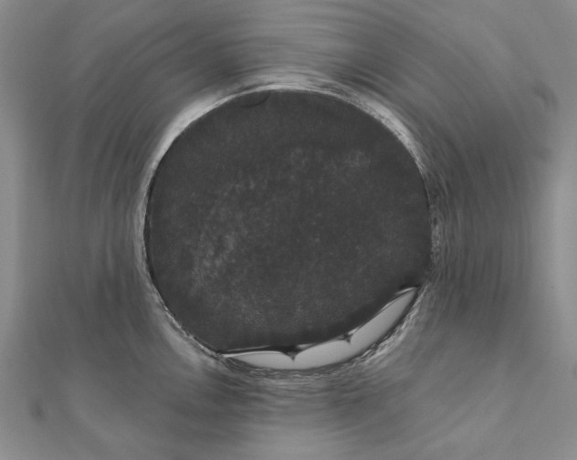 X0000111911146200908101155