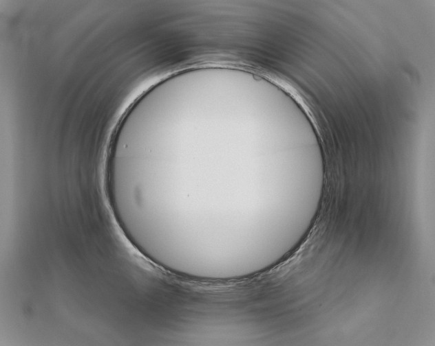 X0000111911147200908101155