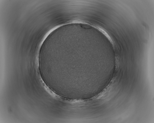 X0000111911148200908101155