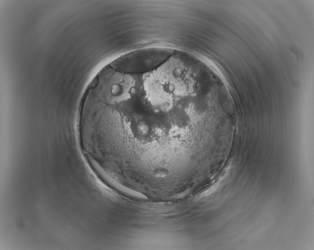 X0000111911149200908101155