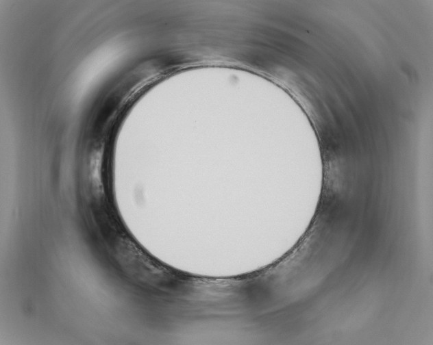 X0000111911150200908101155