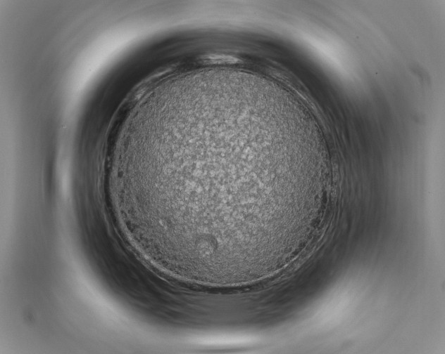 X0000111911151200908101155