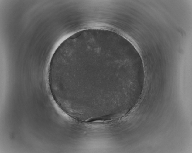 X0000111911152200908101155