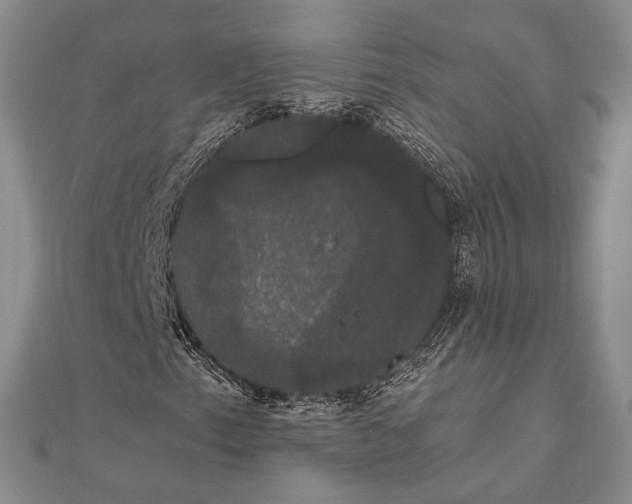 X0000111911153200908101155