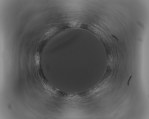 X0000111911154200908101155