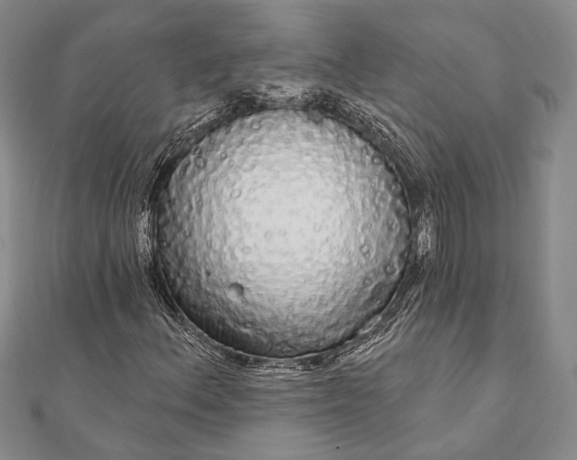 X0000111911156200908101155