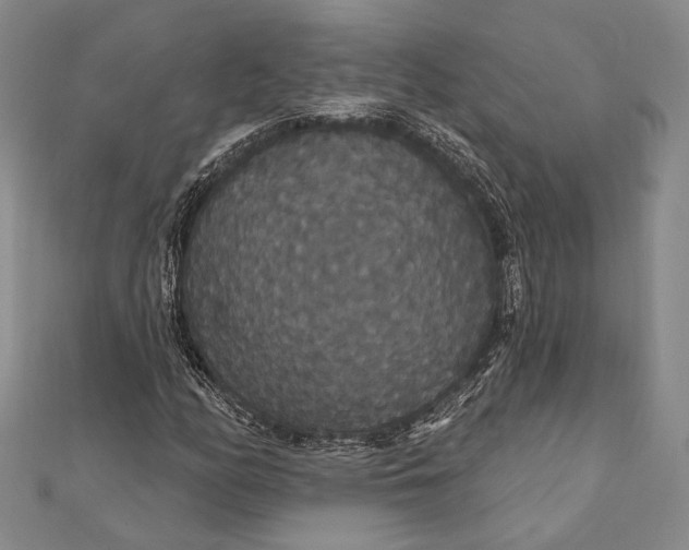 X0000111911158200908101155