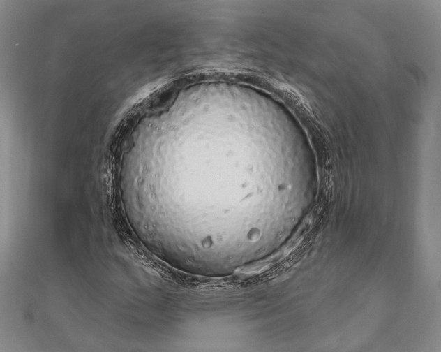 X0000111911159200908101155