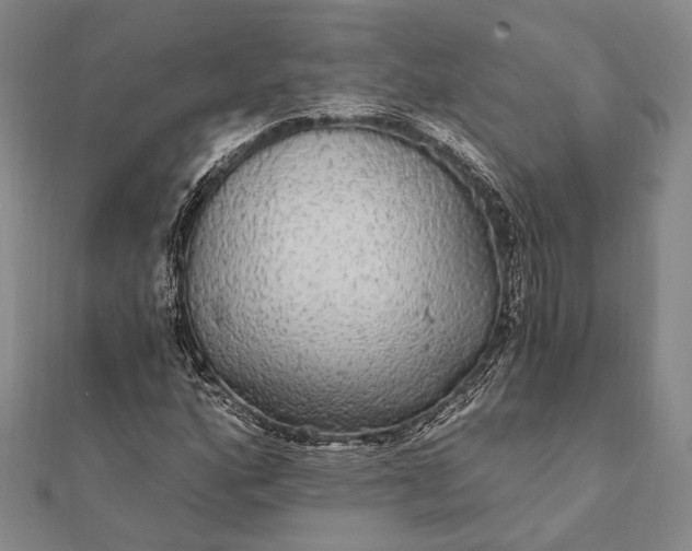 X0000111911160200908101154