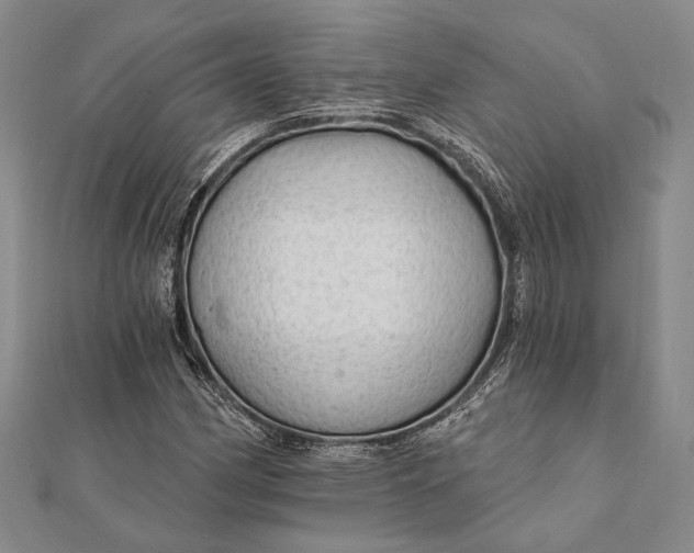 X0000111911162200908101154