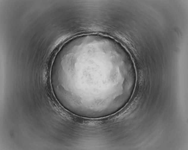 X0000111911163200908101154