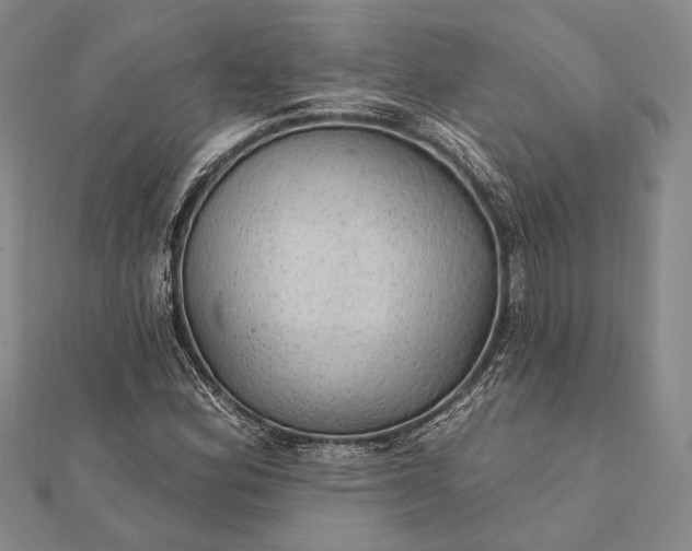 X0000111911164200908101154