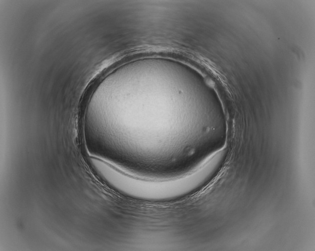 X0000111911165200908101154