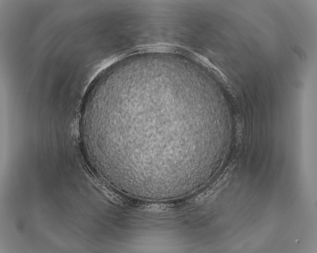 X0000111911166200908101154