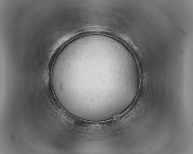 X0000111911167200908101154