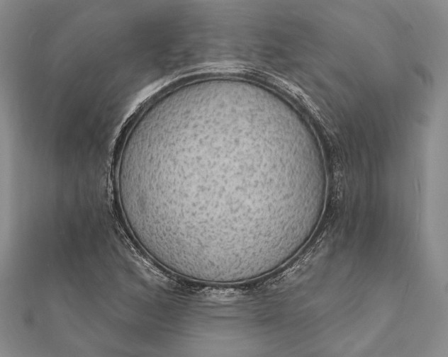 X0000111911168200908101154