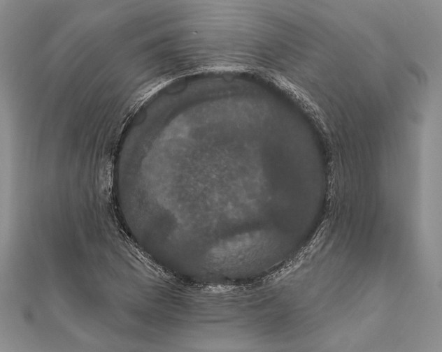 X0000111911169200908101154