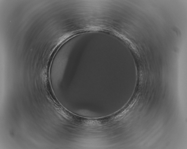 X0000111911170200908101154