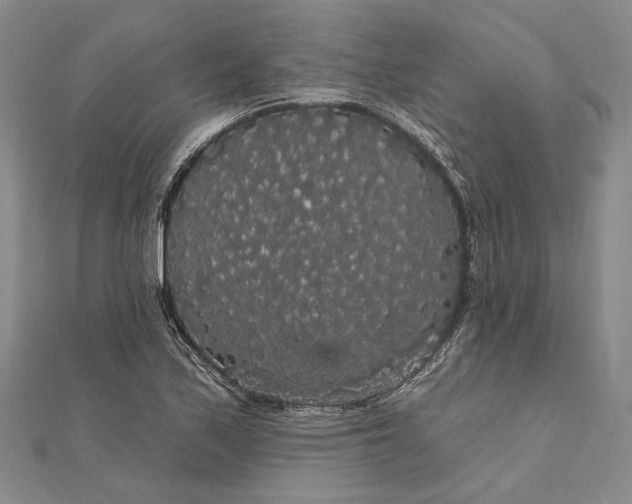 X0000111911171200908101154