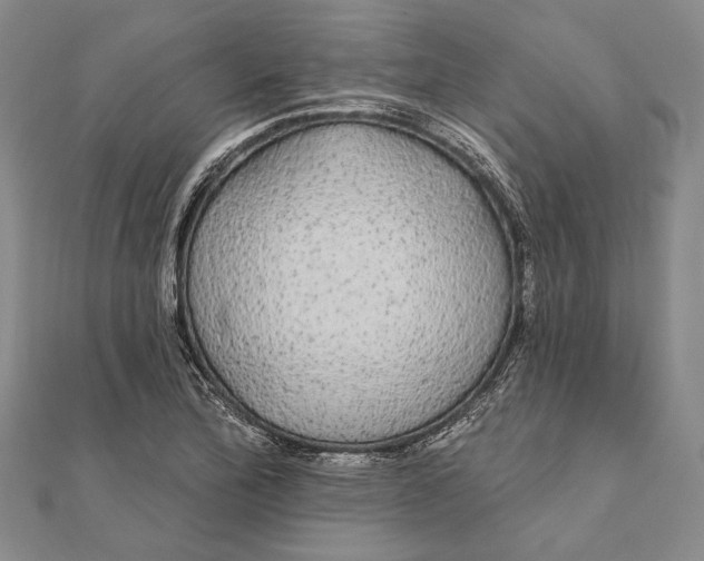 X0000111911172200908101154