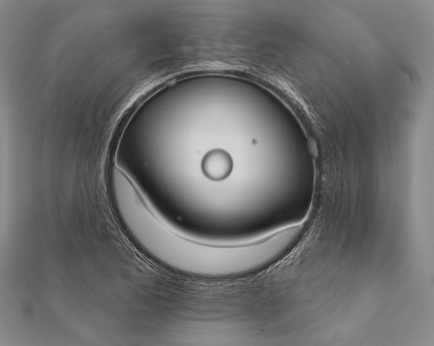 X0000111911173200908101154