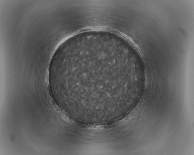 X0000111911174200908101154