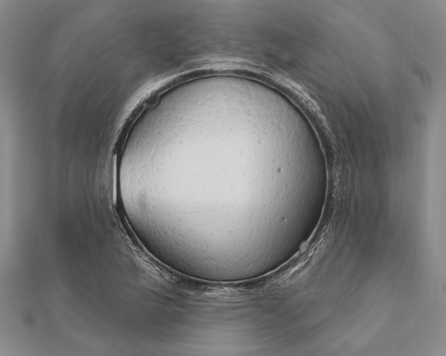 X0000111911175200908101154