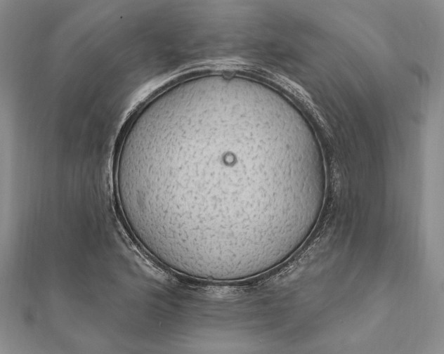 X0000111911176200908101154