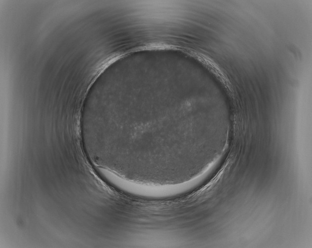 X0000111911177200908101154