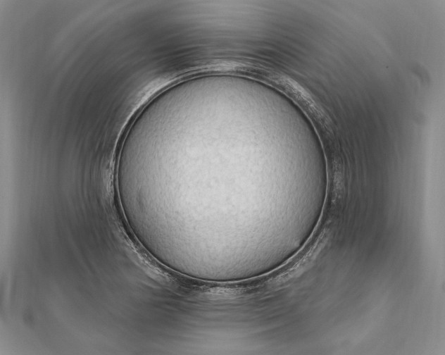 X0000111911178200908101154