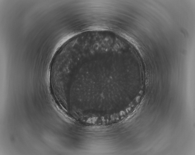 X0000111911179200908101154