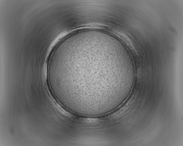 X0000111911180200908101154