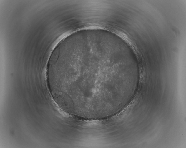 X0000111911181200908101154