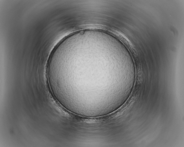 X0000111911182200908101154