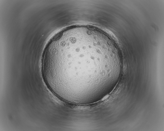 X0000111911183200908101154