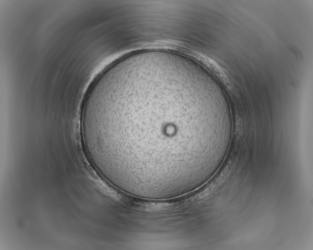 X0000111911184200908101154