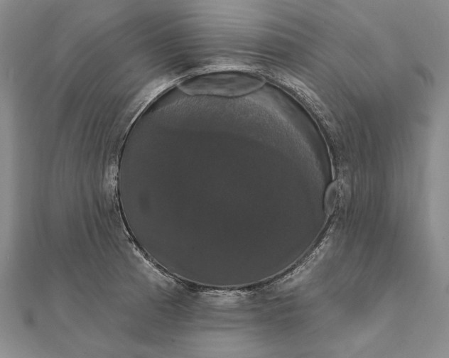 X0000111911185200908101154