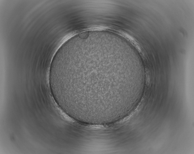 X0000111911186200908101154