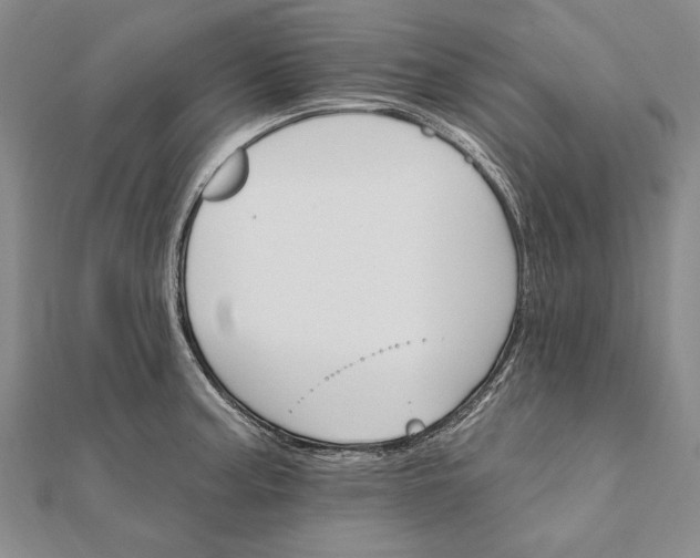 X0000111911187200908101154