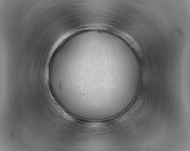 X0000111911188200908101154