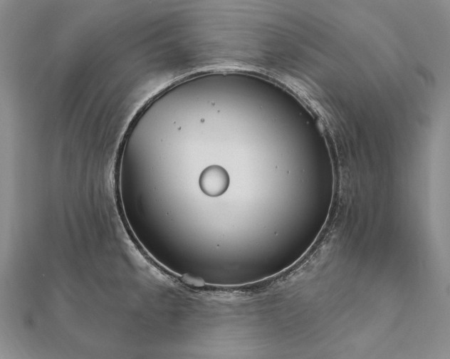 X0000111911189200908101154