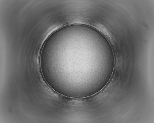 X0000111911190200908101154