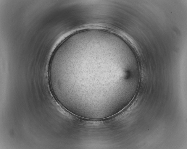 X0000111911192200908101154