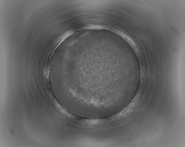 X0000111911193200908101154