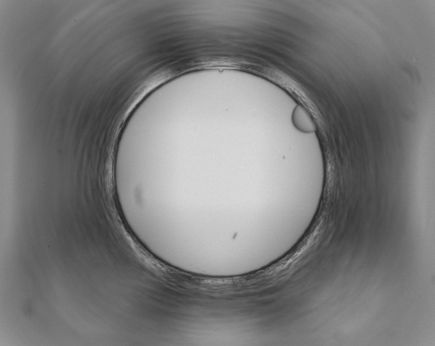 X0000111911194200908101154