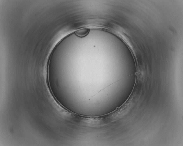 X0000111911195200908101154