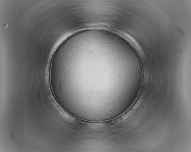 X0000111911196200908101154